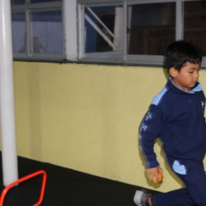 Día de la Actividad Física